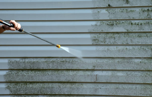 Best Affordable Power Washing  in Rochester, IL