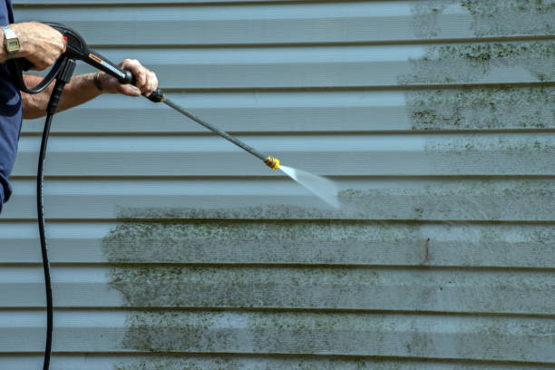 Best Pressure Washing Siding  in Rochester, IL