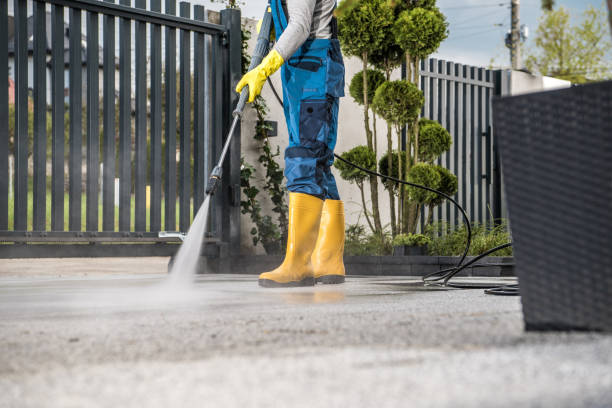Best Affordable Pressure Washing  in Rochester, IL