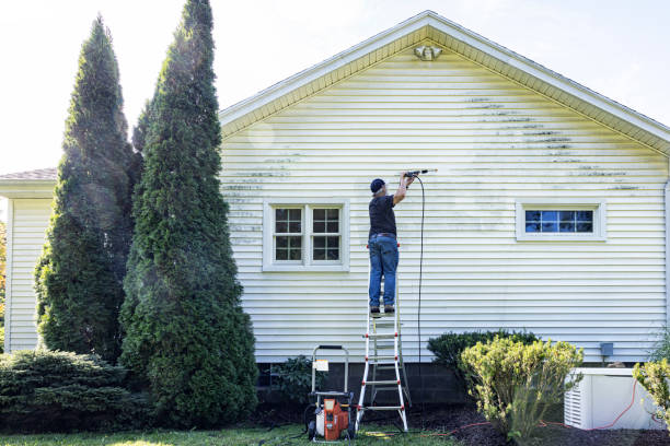 Why Choose Our Certified Pressure Washing Experts for Your Project Needs in Rochester, IL?