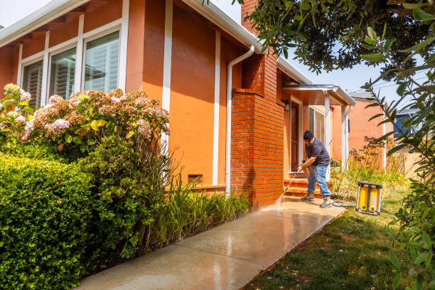 Best Deck Pressure Washing  in Rochester, IL