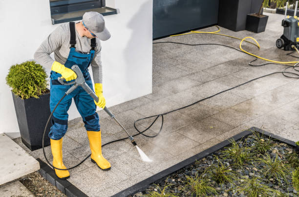 Best Roof Pressure Washing  in Rochester, IL