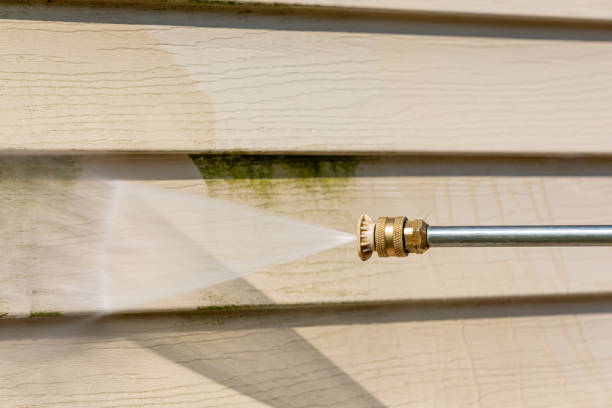 Best Pressure Washing Near Me  in Rochester, IL