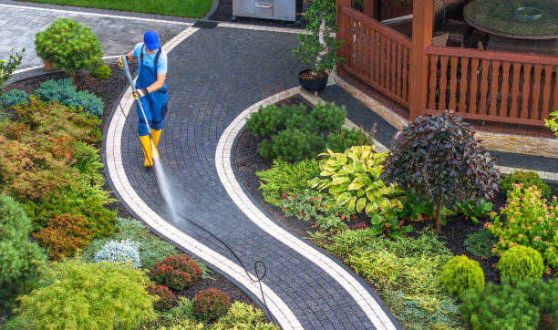 Best Deck Cleaning Services  in Rochester, IL